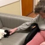 Stray Cat's Heartwarming Journey to Nursing Home Staff Member