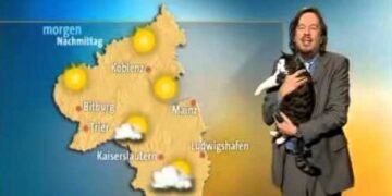Cat Crashes Weather Broadcast for Cuddles A Hilarious Moment