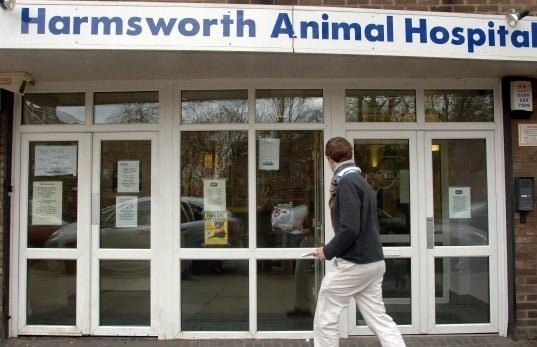 harmsworth animal hospital