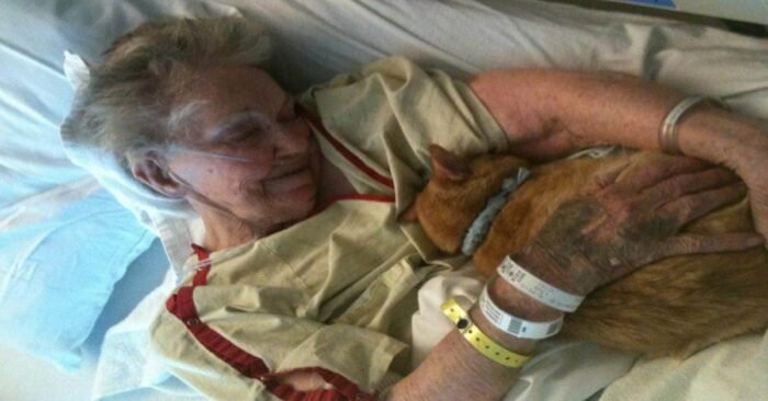 Elderly Woman's Heartfelt Farewell to Her Feline Friend