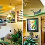 Transforming a Home into a Paradise for Rescue Cats