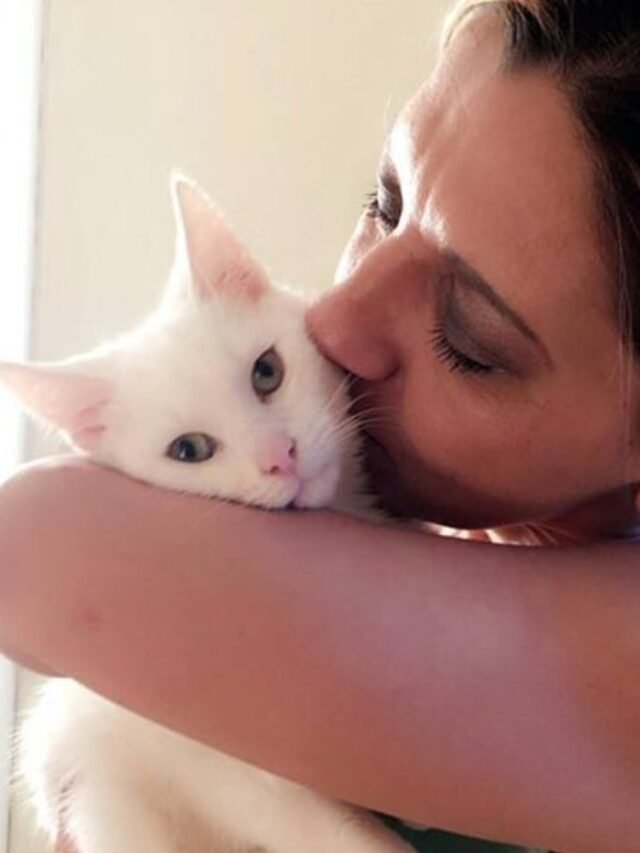 woman kiss white cat